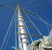 [Immagine: 20121010165827_SCALA ALBERO.jpg]